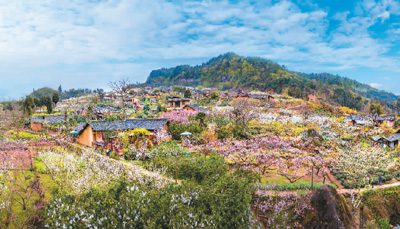 Ancient village in SW China’s Sichuan sees prospering rural tourism