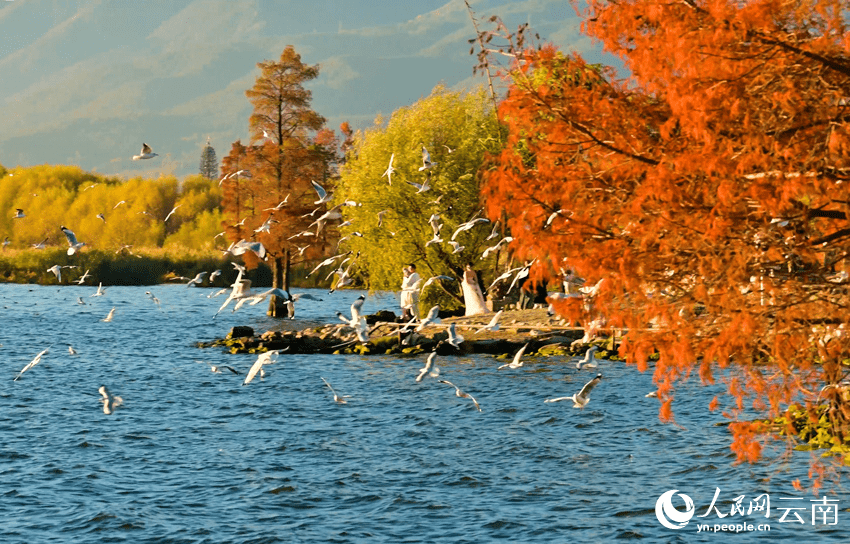 Beautiful scenery of Erhai Lake in Dali, SW China's Yunnan-1