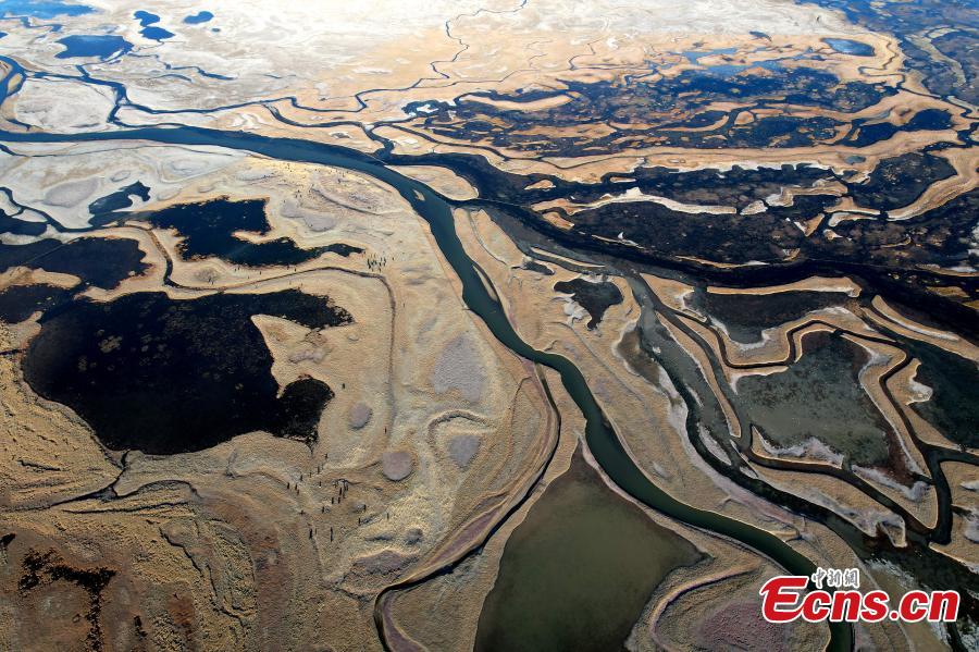 Landscape of meadow wetland in Lhasa-5