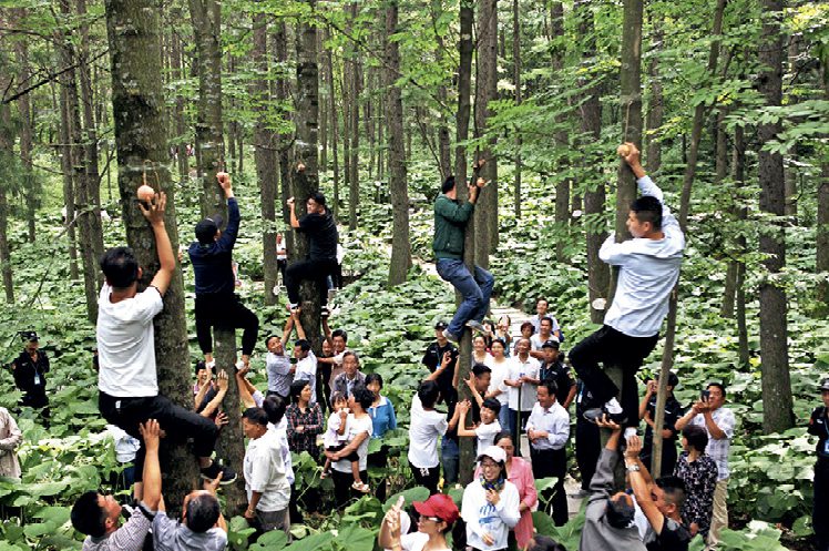 Baiyun Mountains: A Majestic Natural Garden-2