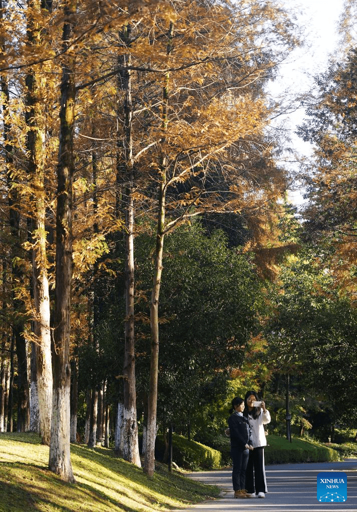 In pics: Meiling national forest park in Nanchang, E China-3