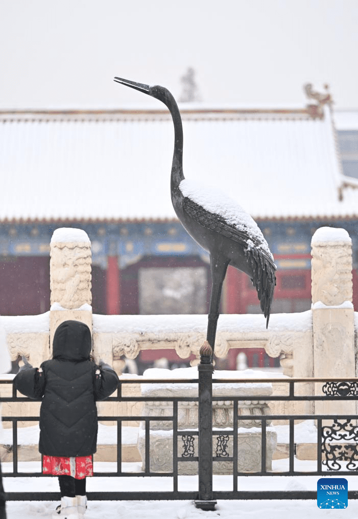 Tourists visit Palace Museum in snow in Beijing-18