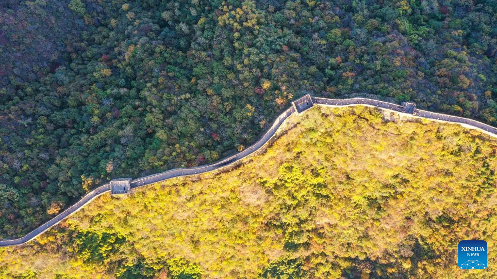 Autumn scenery of Mutianyu section of Great Wall in Beijing-12