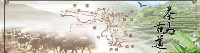 The Tea Horse Road: The Soul of Pu'er Tea Culture-1