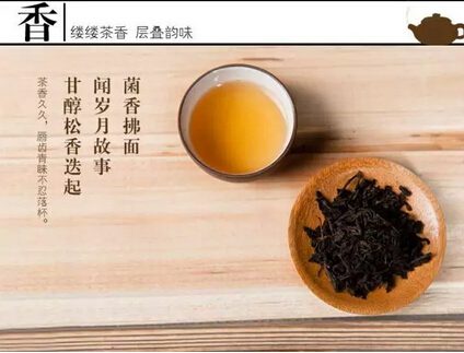 Tasting Dark Tea: Learn to Judge by its Color and More-2