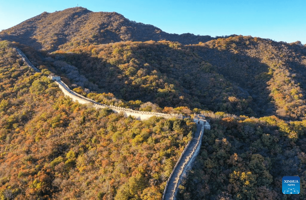 Autumn scenery of Mutianyu section of Great Wall in Beijing-4