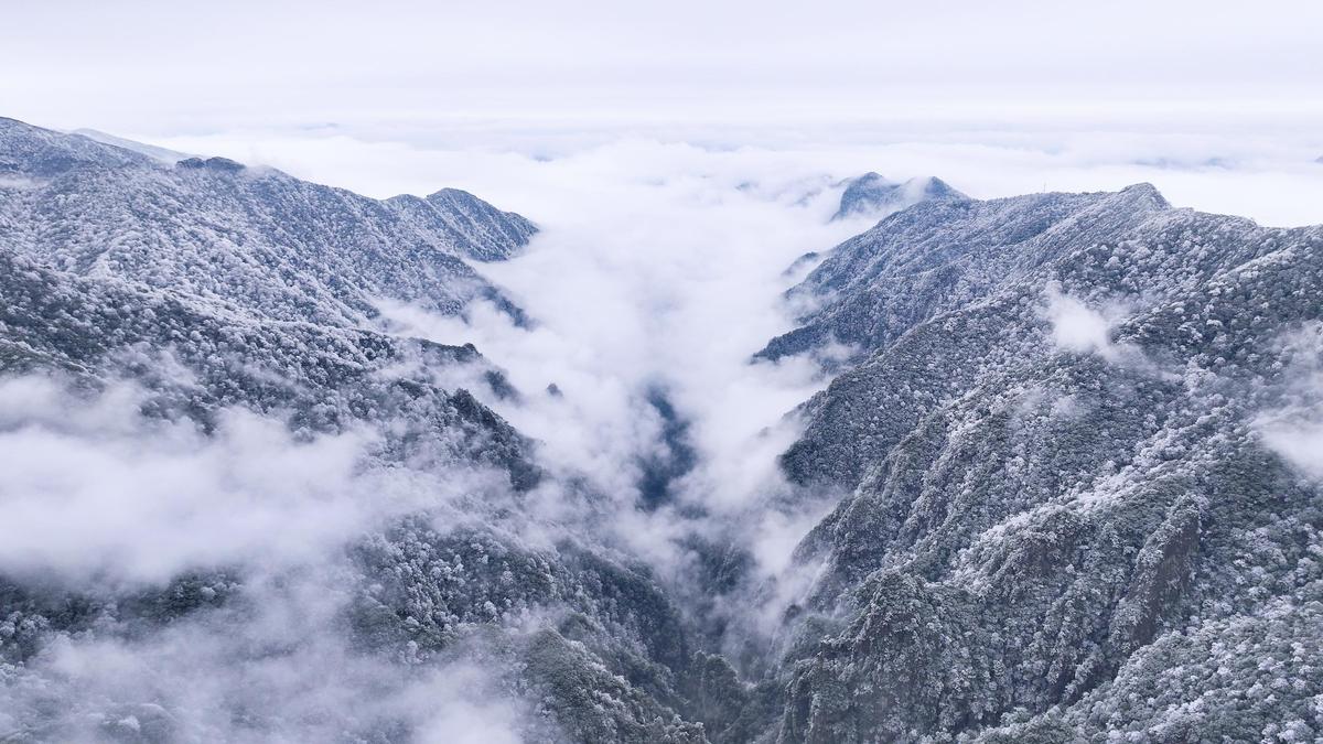 The snowy wonderland of Fanjing Mountain attracts visitors despite coldness-8