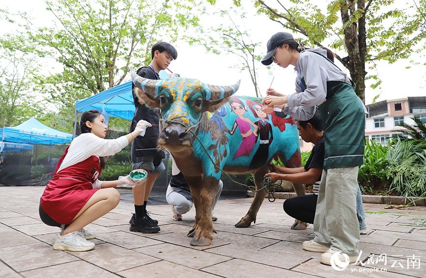 Colorful buffaloes attract attention in SW China's Yunnan-1