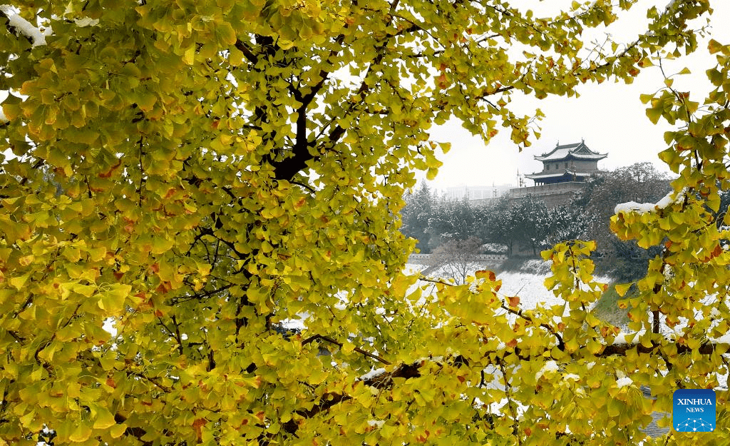 City view of snow-covered Xi'an, NW China-3