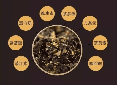 The Charm of Dark Tea —— Experiencing the Perfect Blend of Health and Tradition-2