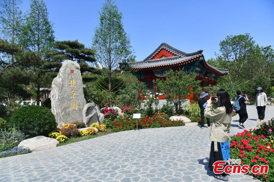 Preview of International Horticultural Exhibition 2024 Chengdu-5