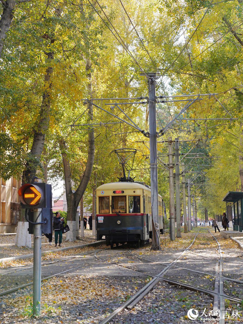 Changchun in NE China's Jilin keeps fallen leaves on the ground to delight citizens with autumn splendor-4