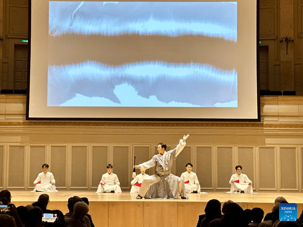 Artists stage Chinese martial arts performance in Bern, Switzerland-5