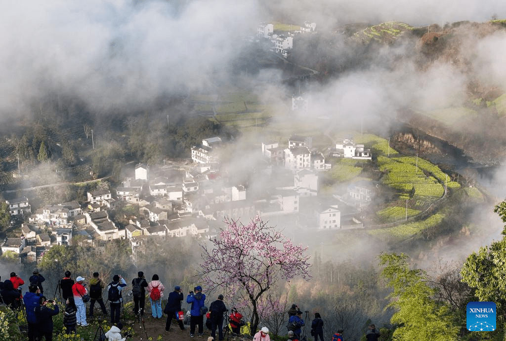 Spring scenery across China-3