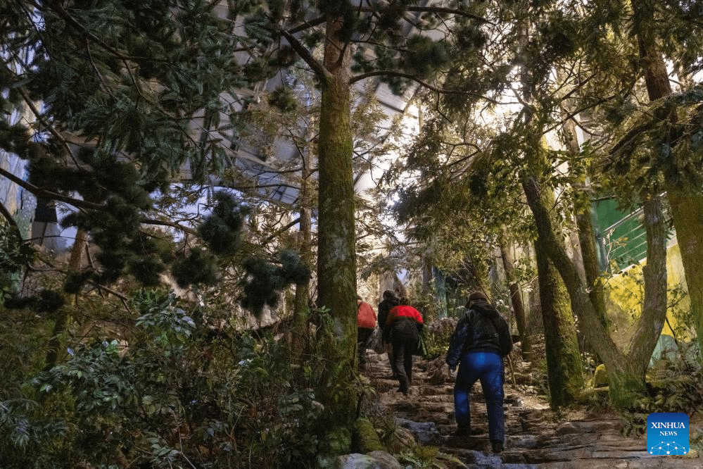 People visit China (Harbin) Forest Museum-5