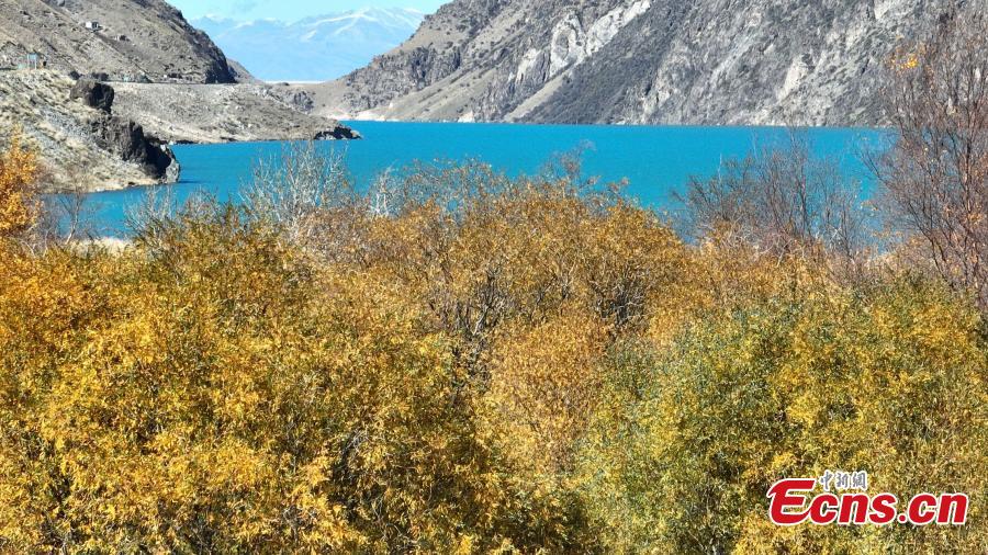 Breathtaking autumn scenery of Yuhu Lake in Xinjiang-4