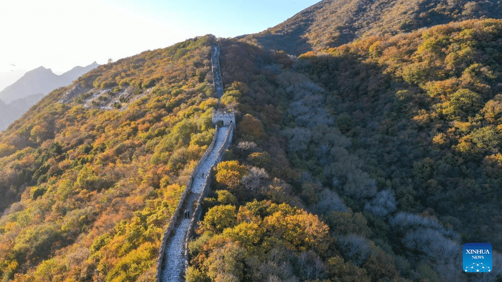 Autumn scenery of Mutianyu section of Great Wall in Beijing-5