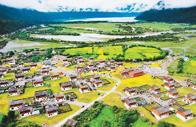 Peach blossoms bring wealth to villagers in Nyingchi, SW China's Xizang-3