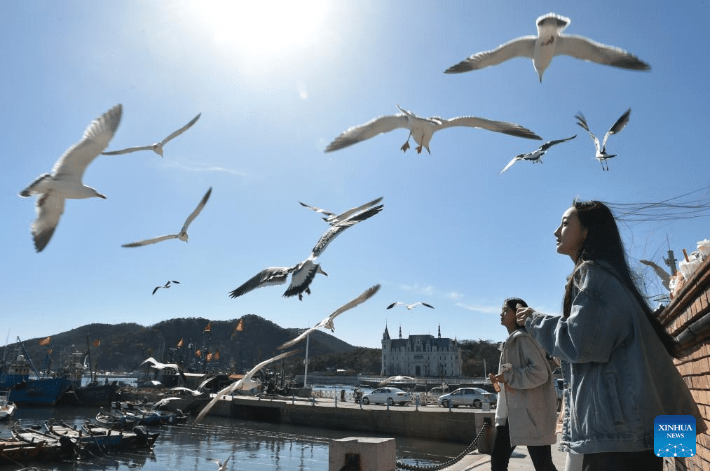 Tourists enjoy themselves in Dalian, NE China-8