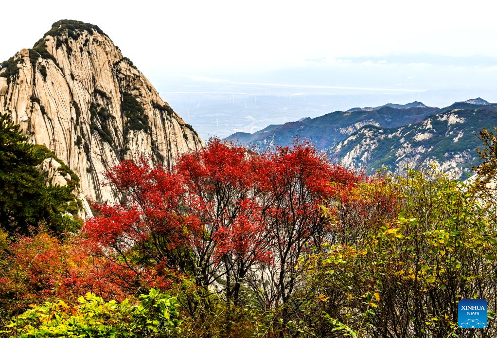 People visit Mount Huashan in NW China's Shaanxi-3