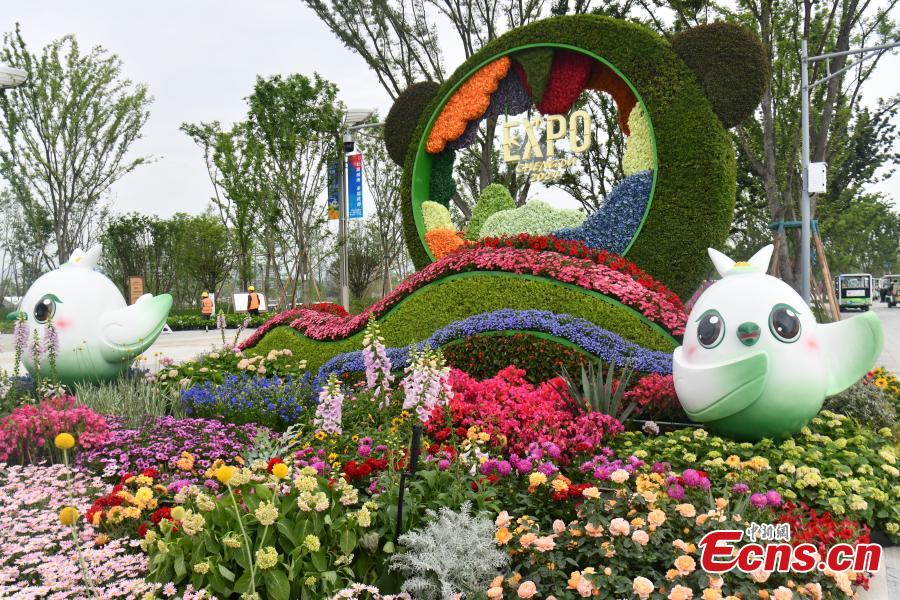 Preview of International Horticultural Exhibition 2024 Chengdu-8