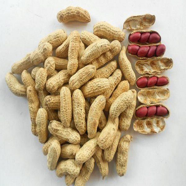 Wenheng Red-Skin Peanuts-1