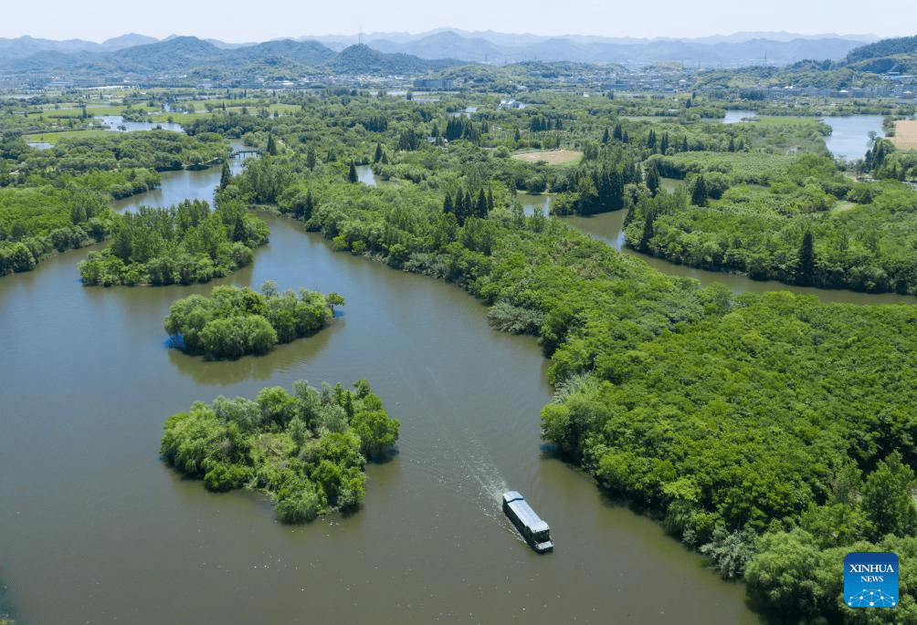 Zhejiang's national wetland park makes efforts to improve ecological environment-2