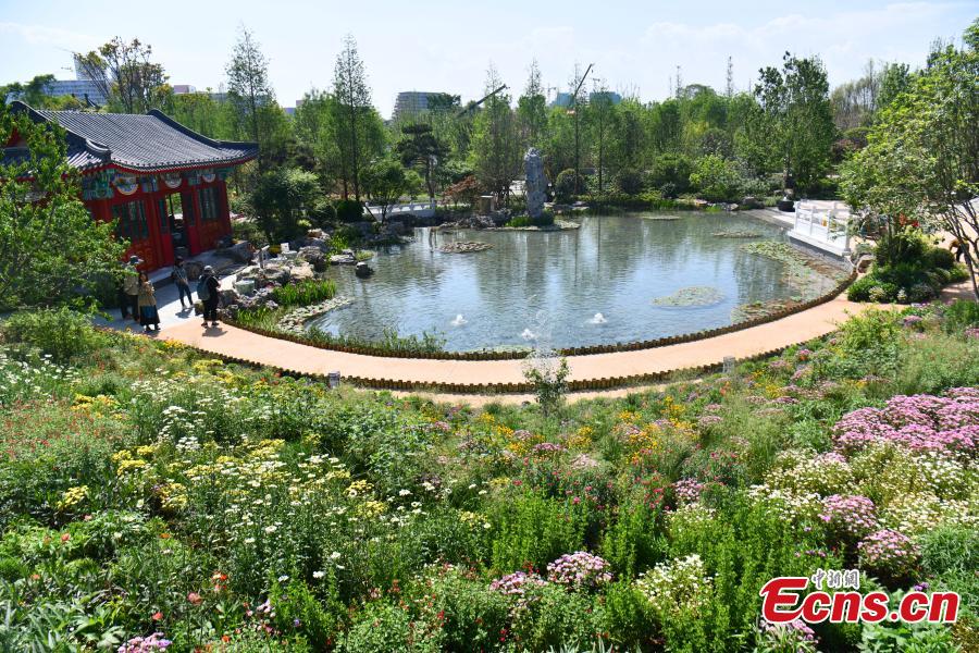 Preview of International Horticultural Exhibition 2024 Chengdu-2