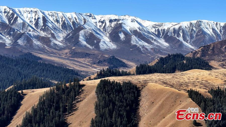 Snow-capped Qilian Mountain Range under blue sky-4