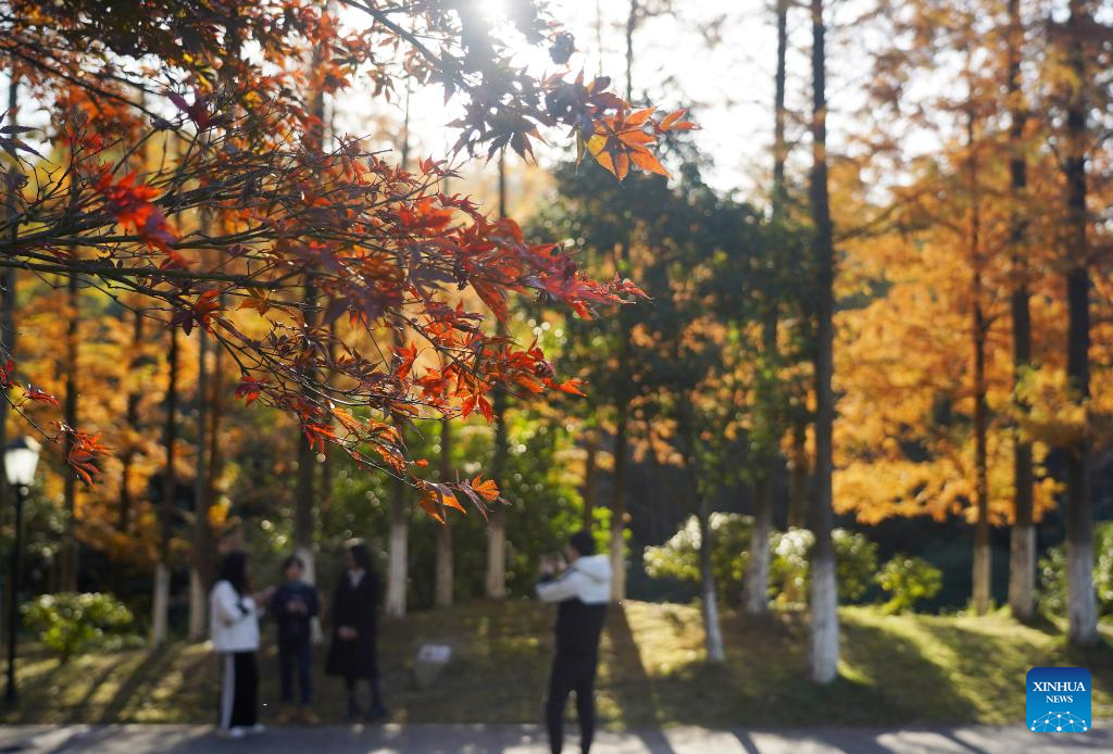 In pics: Meiling national forest park in Nanchang, E China-6