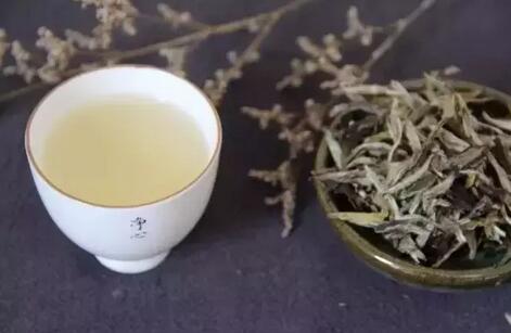 White Tea at its Best Beats Cordyceps Sinensis!-3