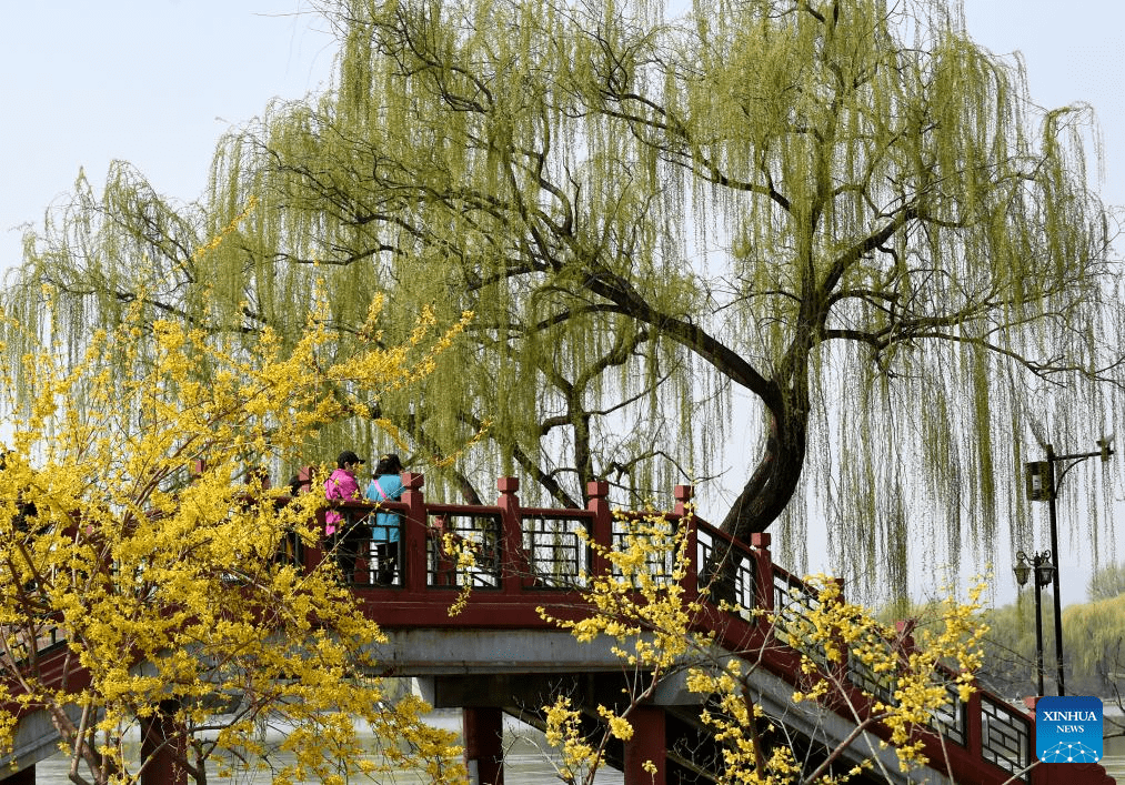 Tourists visit Yuanmingyuan Park in Beijing-2