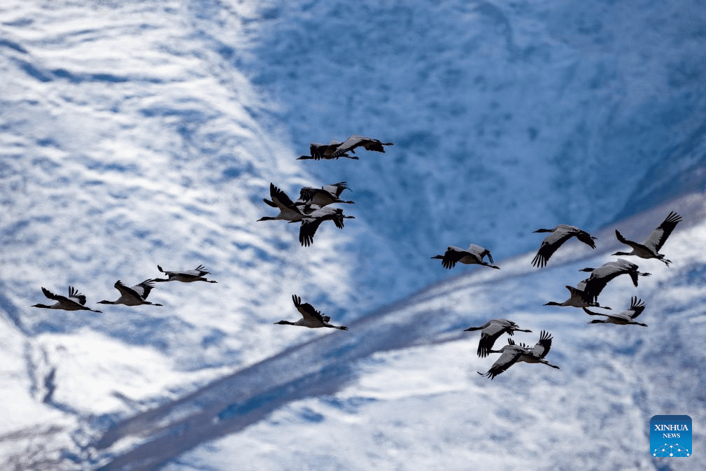 Snow scenery of Lhasa, SW China-7