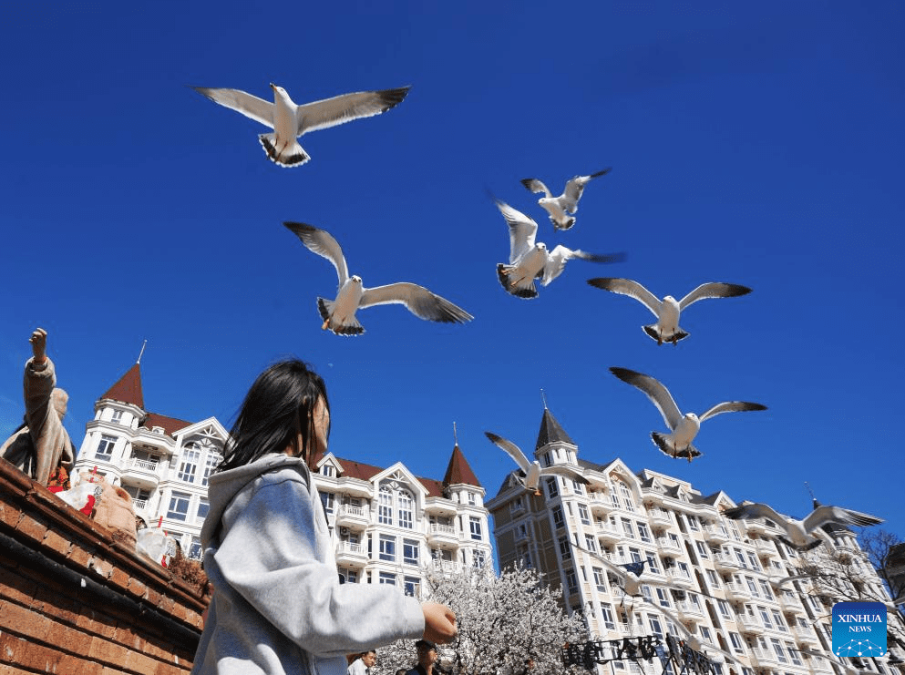 Tourists enjoy themselves in Dalian, NE China-5