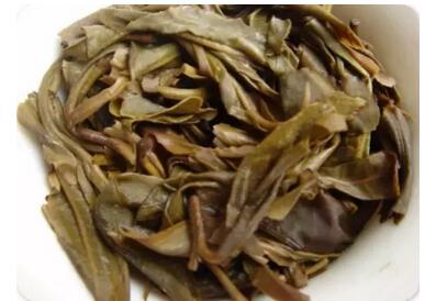 Ten Things About White Tea – How Many Do You Know?-6