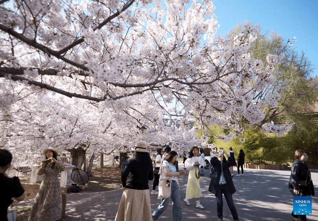 Tourists enjoy themselves in Dalian, NE China-1