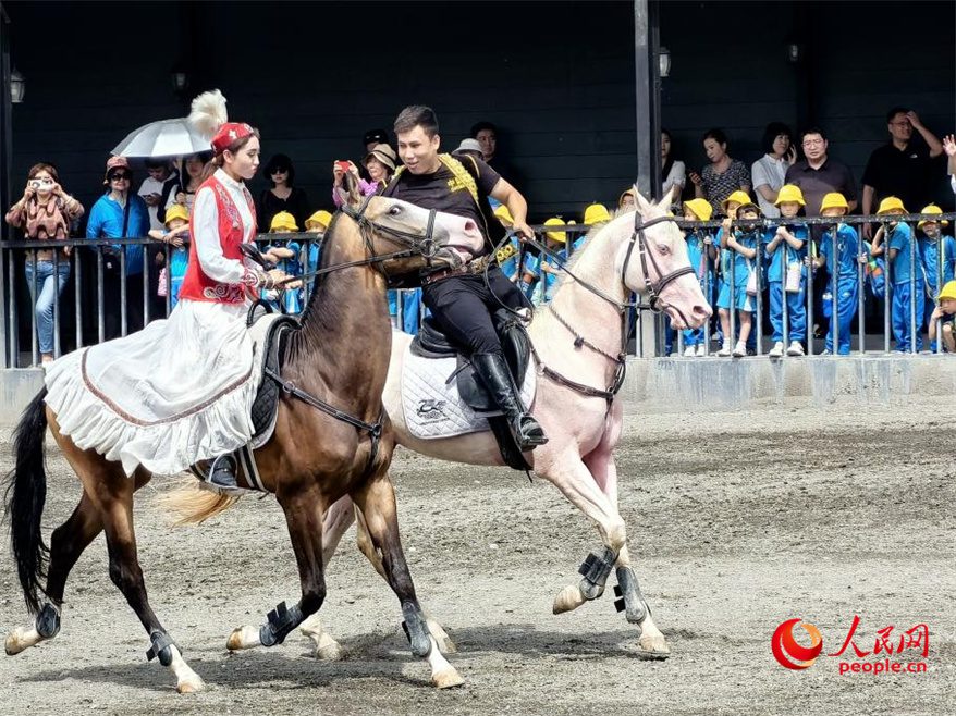 Akhal-Teke horses draw tourists, boost local economy in NW China's Xinjiang-3