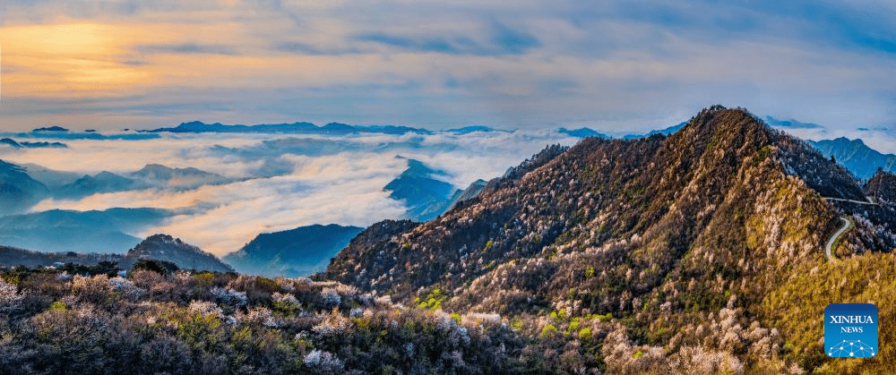 China's central region endeavours to protect eco-environment-17