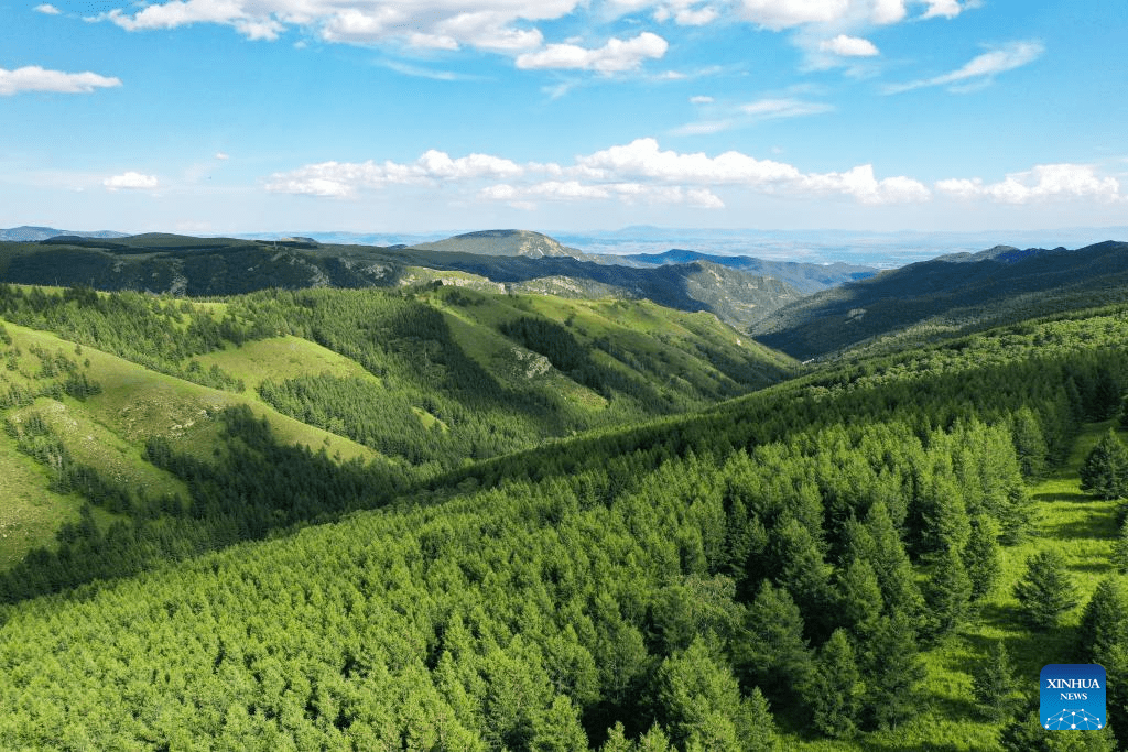 Scenery of Daqingshan National Nature Reserve in Hohhot, N China-4