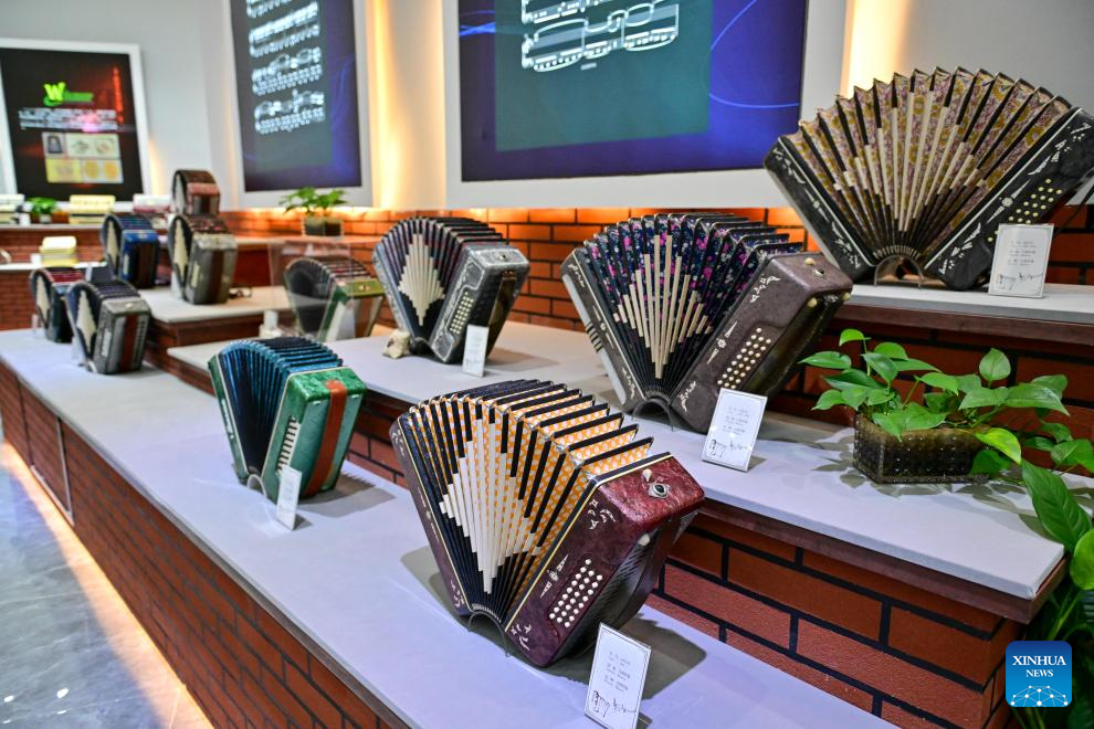 Tacheng City promotes accordion culture, tourism in NW China's Xinjiang-8