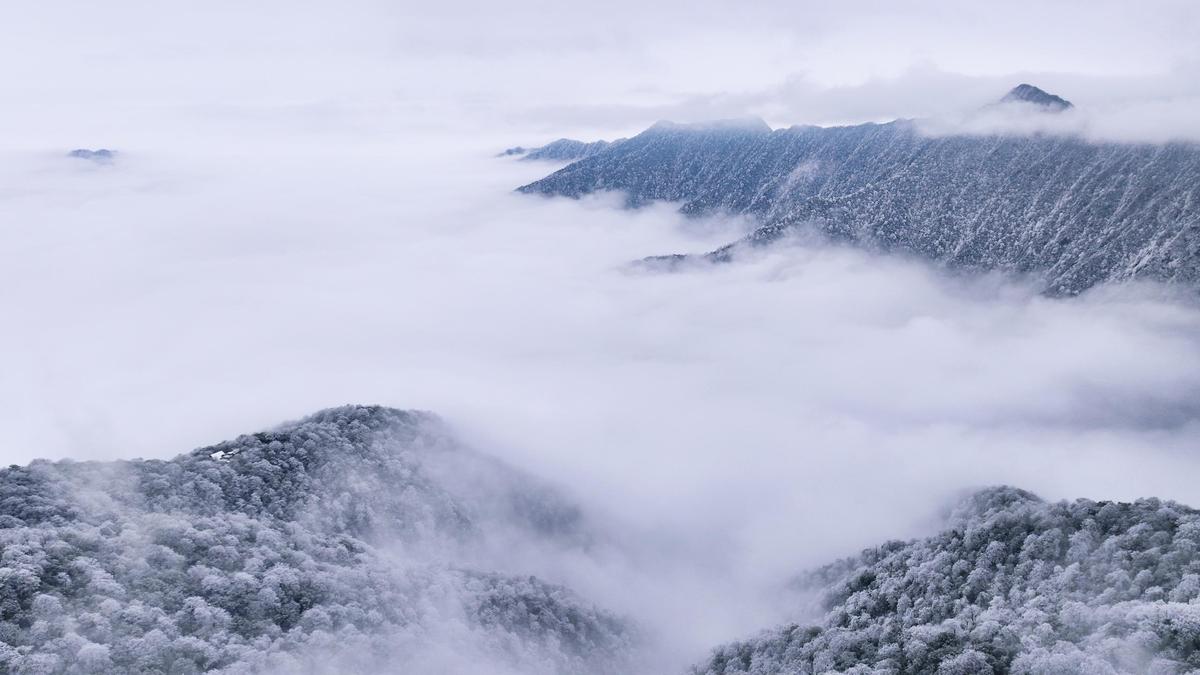 The snowy wonderland of Fanjing Mountain attracts visitors despite coldness-4