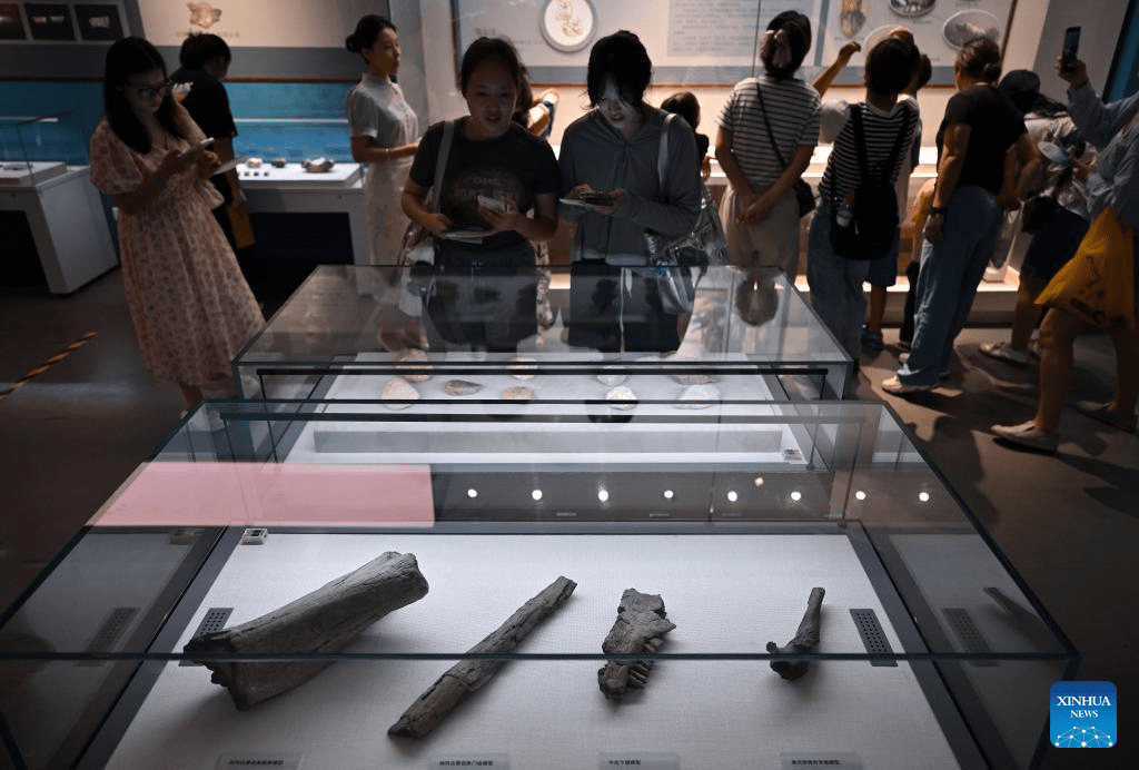 Zhoukoudian Site Cultural Exhibition opens in Hainan-4