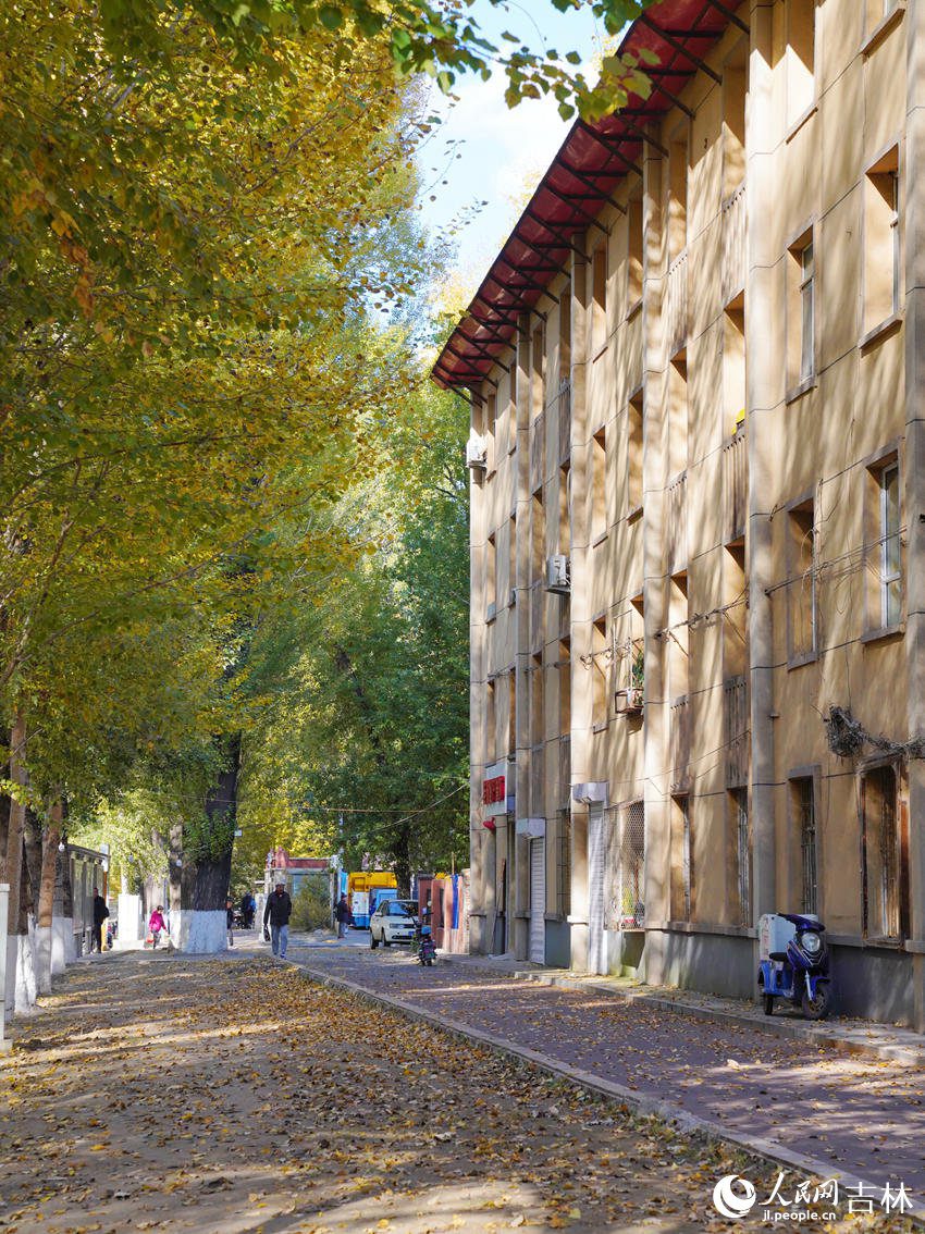 Changchun in NE China's Jilin keeps fallen leaves on the ground to delight citizens with autumn splendor-3