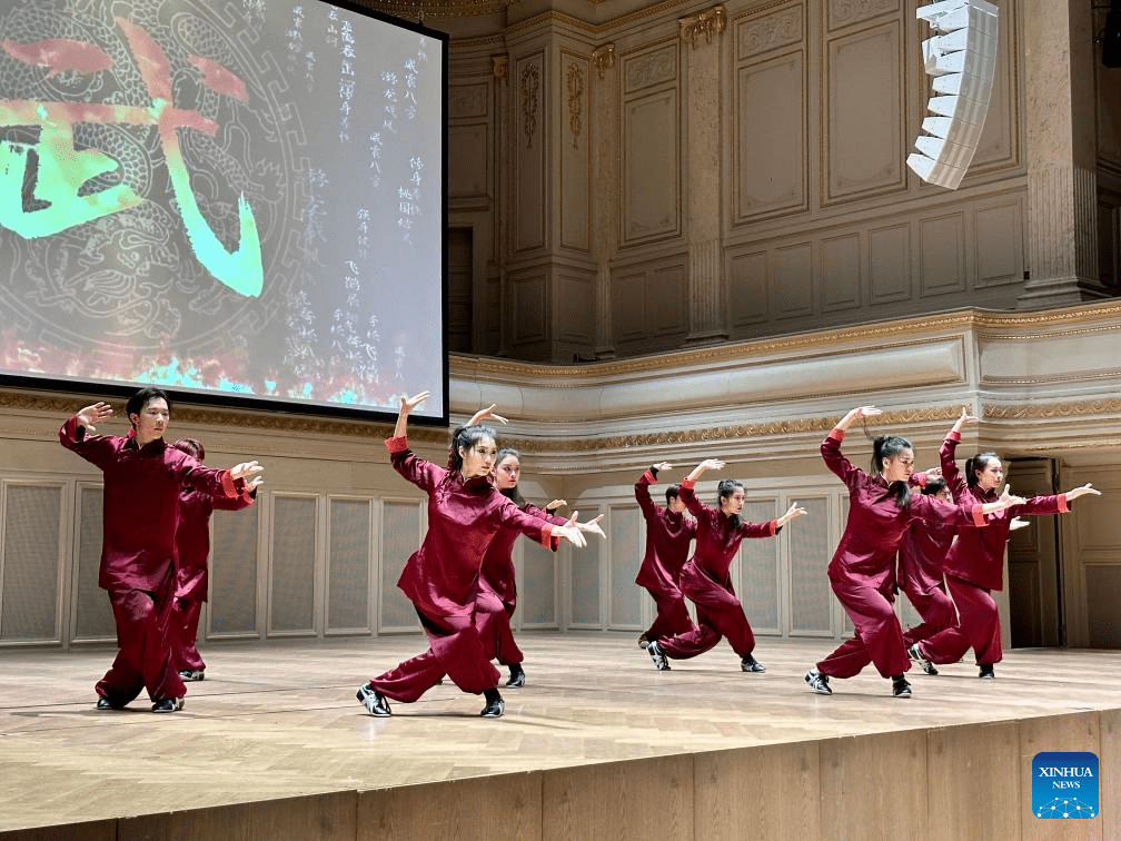 Artists stage Chinese martial arts performance in Bern, Switzerland-3