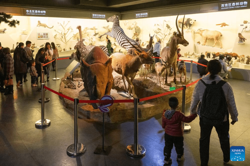 People visit China (Harbin) Forest Museum-2