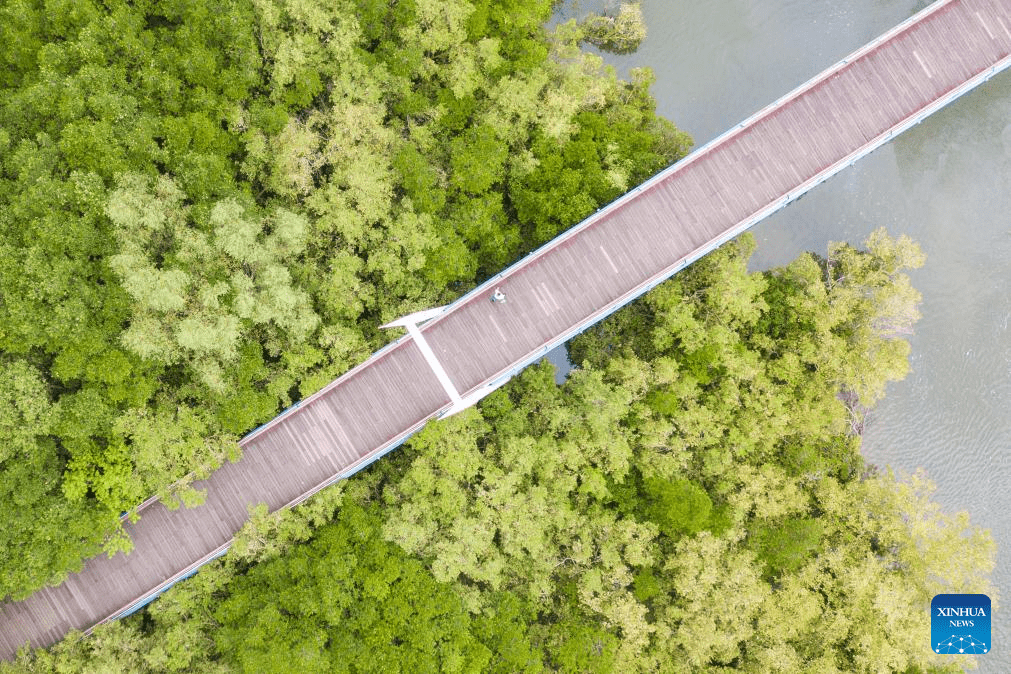 Summer scenery of Sanya, S China-6