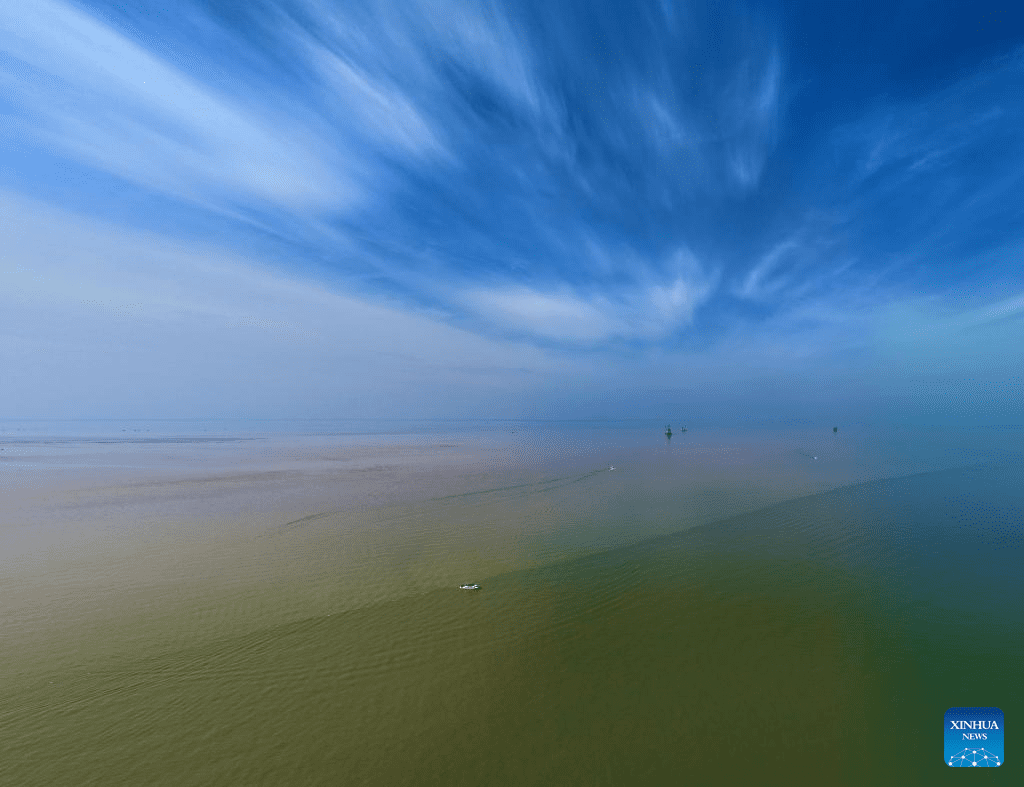 View of Yellow River estuary in Dongying, east China's Shandong-4