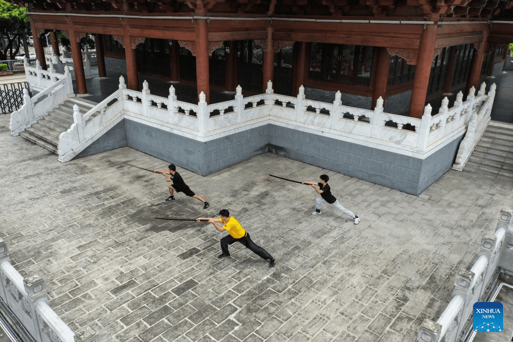 A Brazilian's love on martial arts and traditional Chinese medicine-13