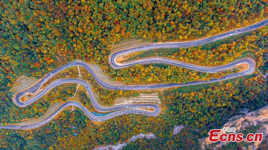 Fall colors paint Shengnongjia National Park-1