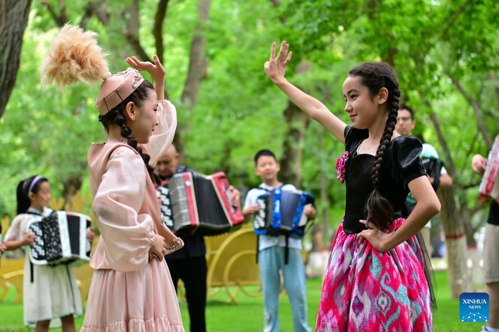 Tacheng City promotes accordion culture, tourism in NW China's Xinjiang-12